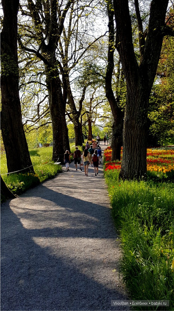 Остров Майнау. Германия — Туризм и путешествия: фотоотчеты из поездок