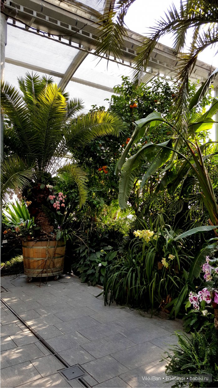 Остров Майнау. Германия — Туризм и путешествия: фотоотчеты из поездок