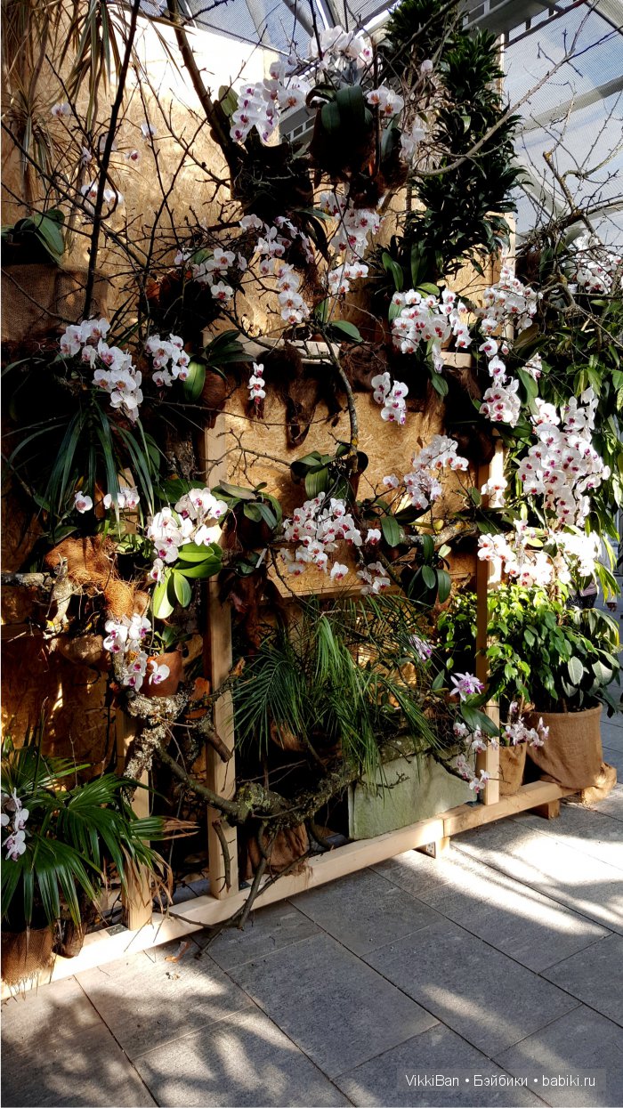 Остров Майнау. Германия — Туризм и путешествия: фотоотчеты из поездок