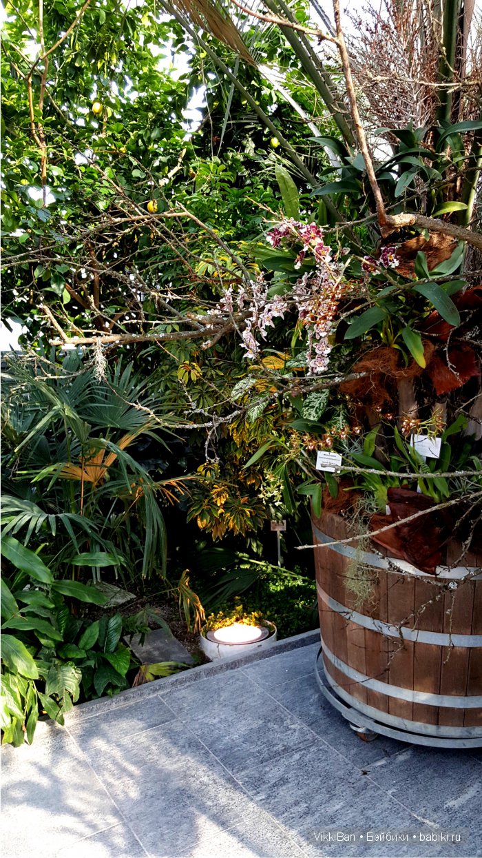 Остров Майнау. Германия — Туризм и путешествия: фотоотчеты из поездок