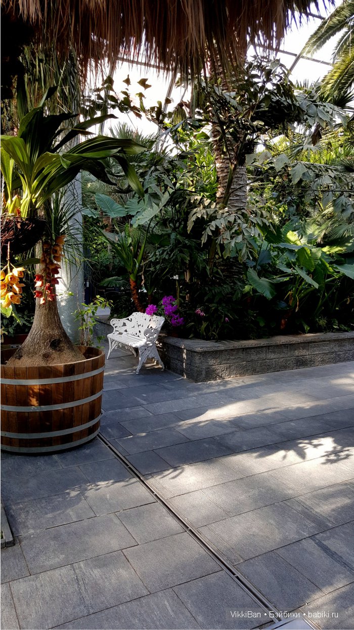 Остров Майнау. Германия — Туризм и путешествия: фотоотчеты из поездок