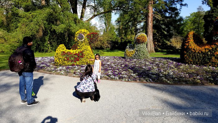 Остров Майнау. Германия — Туризм и путешествия: фотоотчеты из поездок