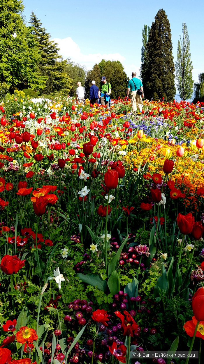 Остров Майнау. Германия — Туризм и путешествия: фотоотчеты из поездок