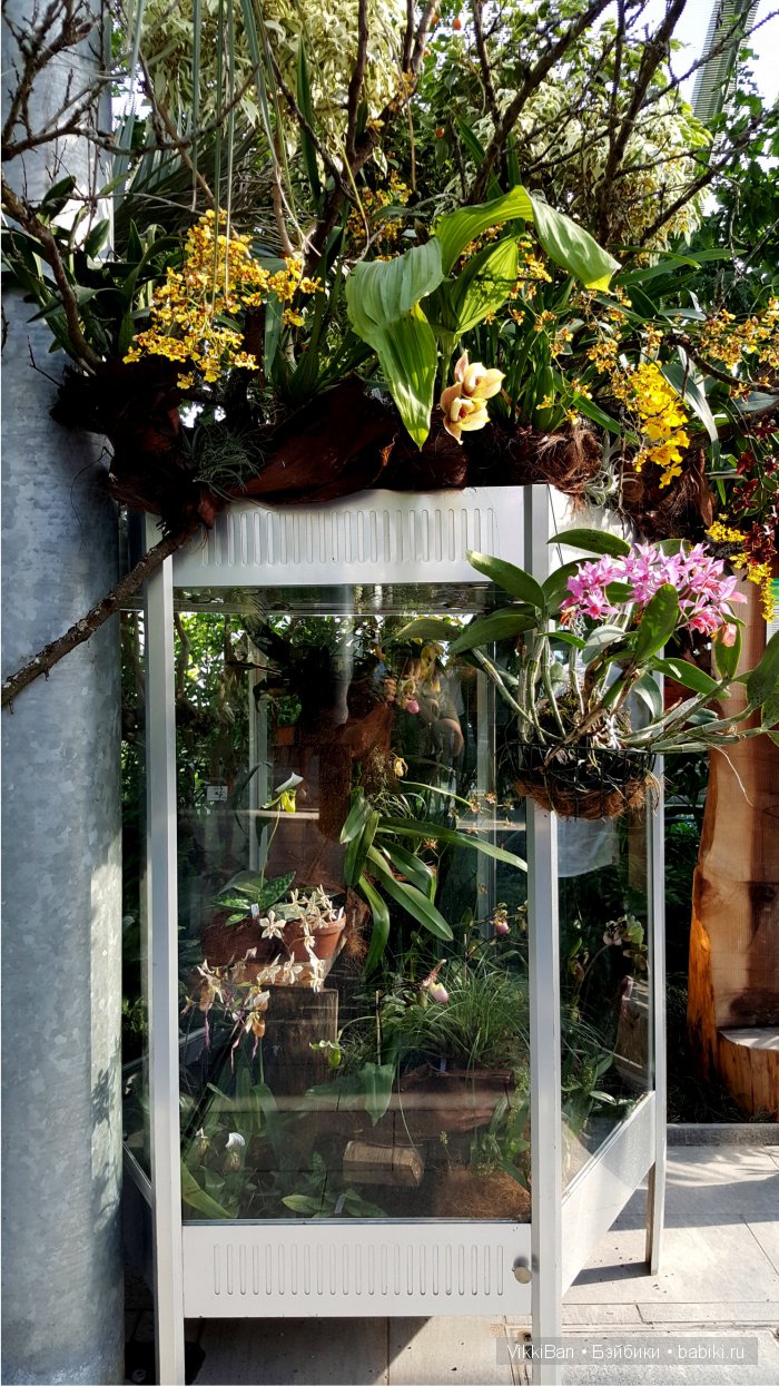 Остров Майнау. Германия — Туризм и путешествия: фотоотчеты из поездок