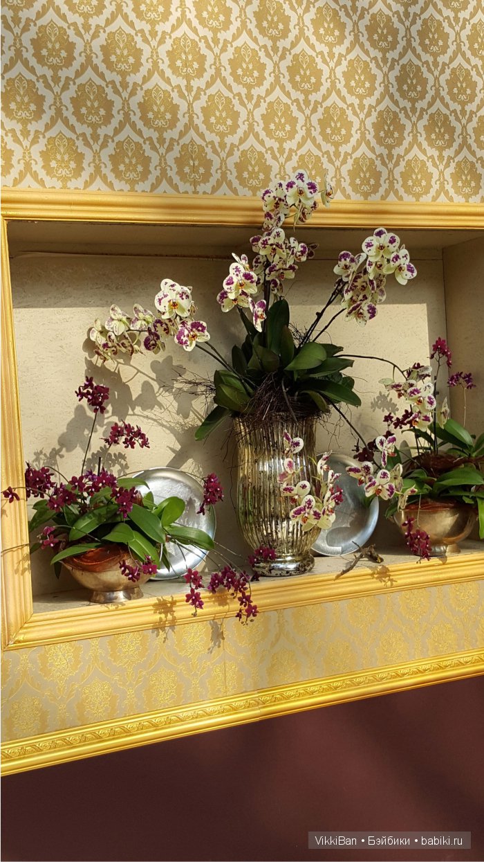 Остров Майнау. Германия — Туризм и путешествия: фотоотчеты из поездок