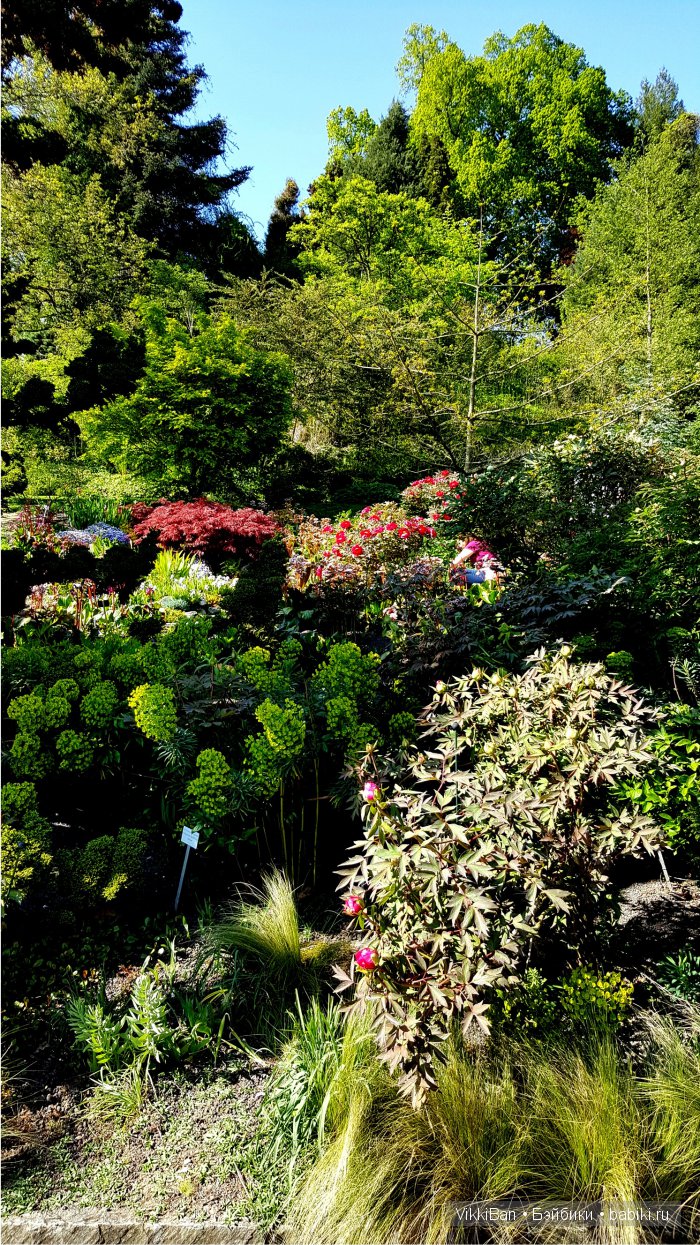 Остров Майнау. Германия — Туризм и путешествия: фотоотчеты из поездок