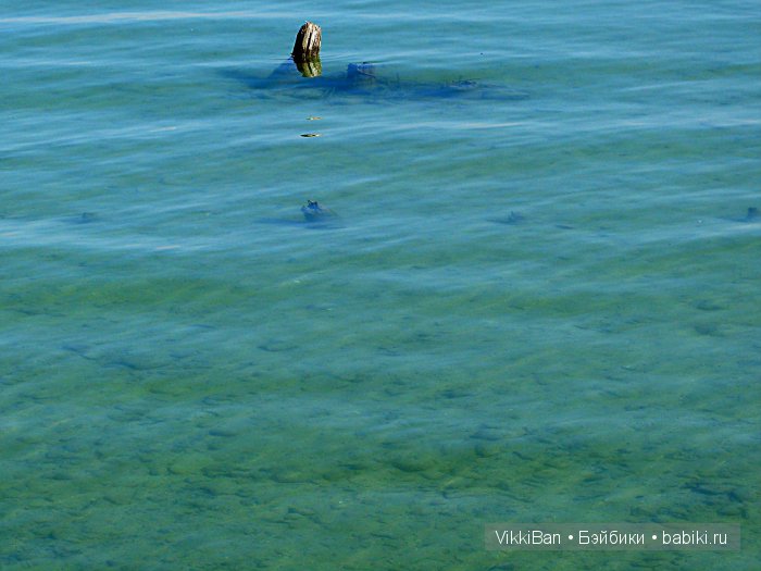Остров Майнау. Германия — Туризм и путешествия: фотоотчеты из поездок