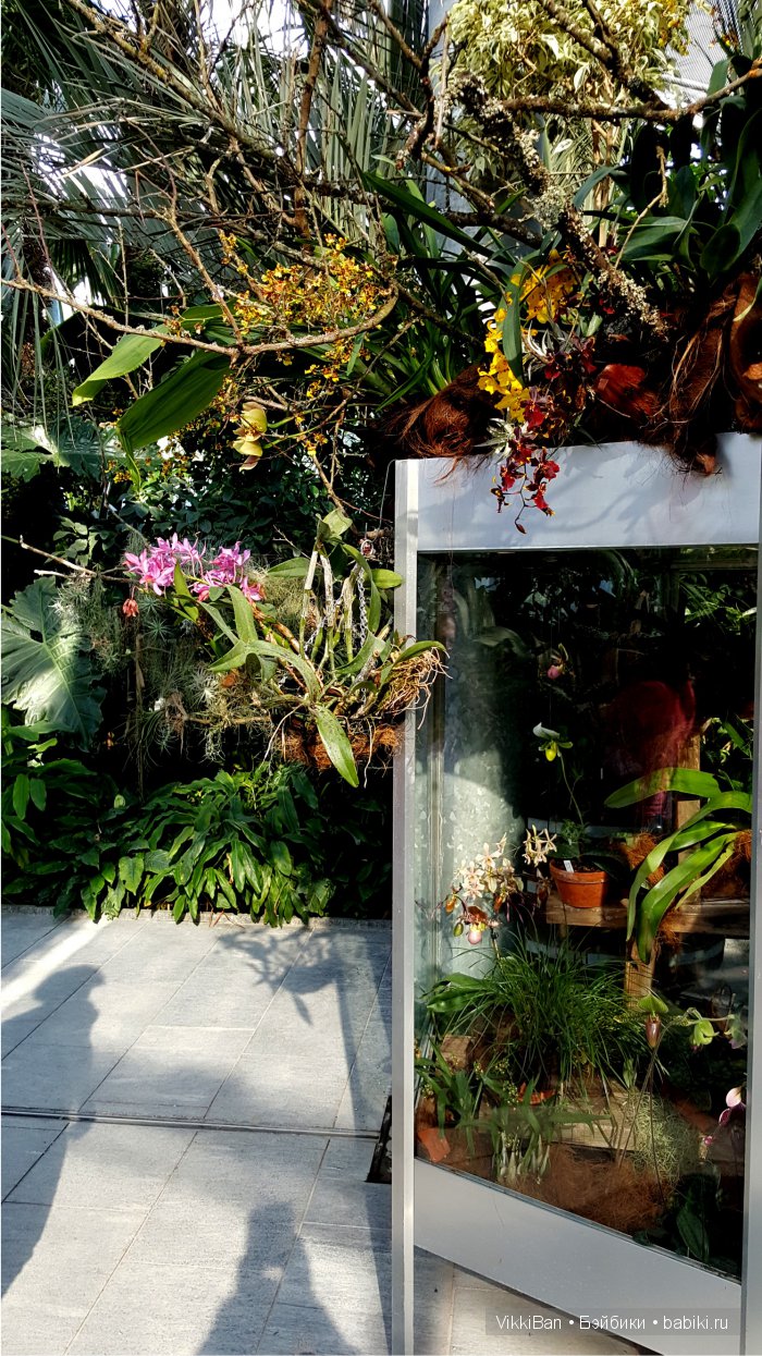 Остров Майнау. Германия — Туризм и путешествия: фотоотчеты из поездок