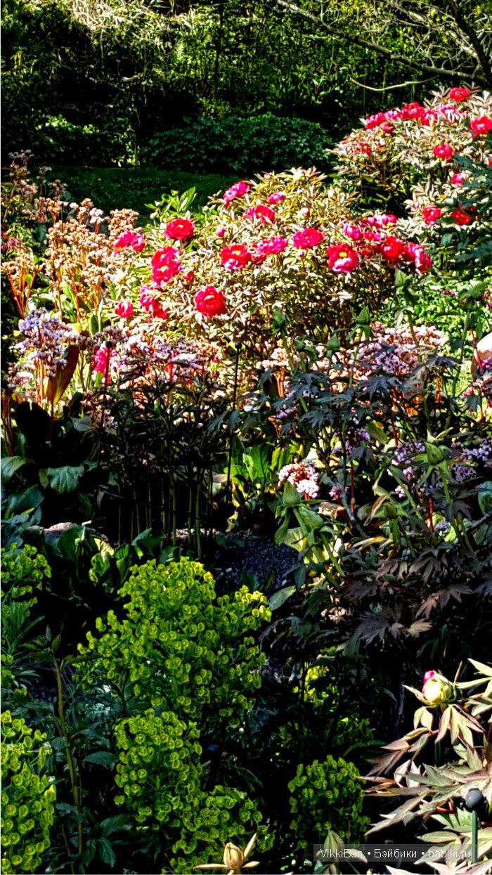 Остров Майнау. Германия — Туризм и путешествия: фотоотчеты из поездок