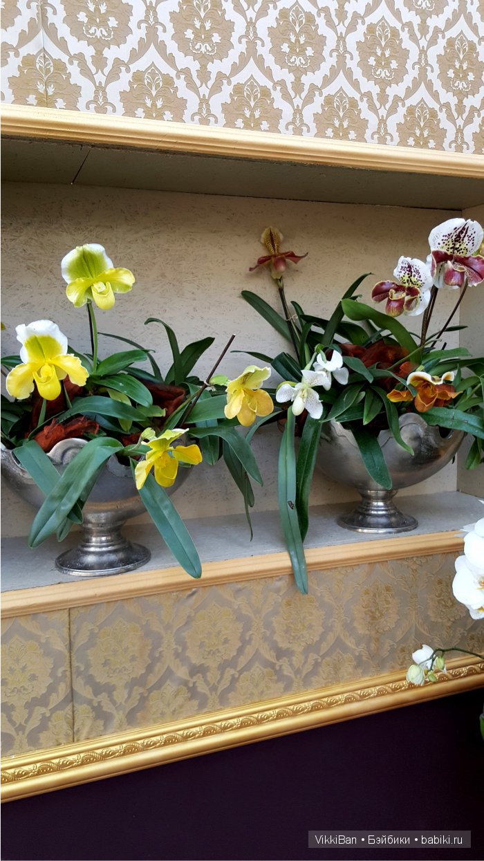 Остров Майнау. Германия — Туризм и путешествия: фотоотчеты из поездок