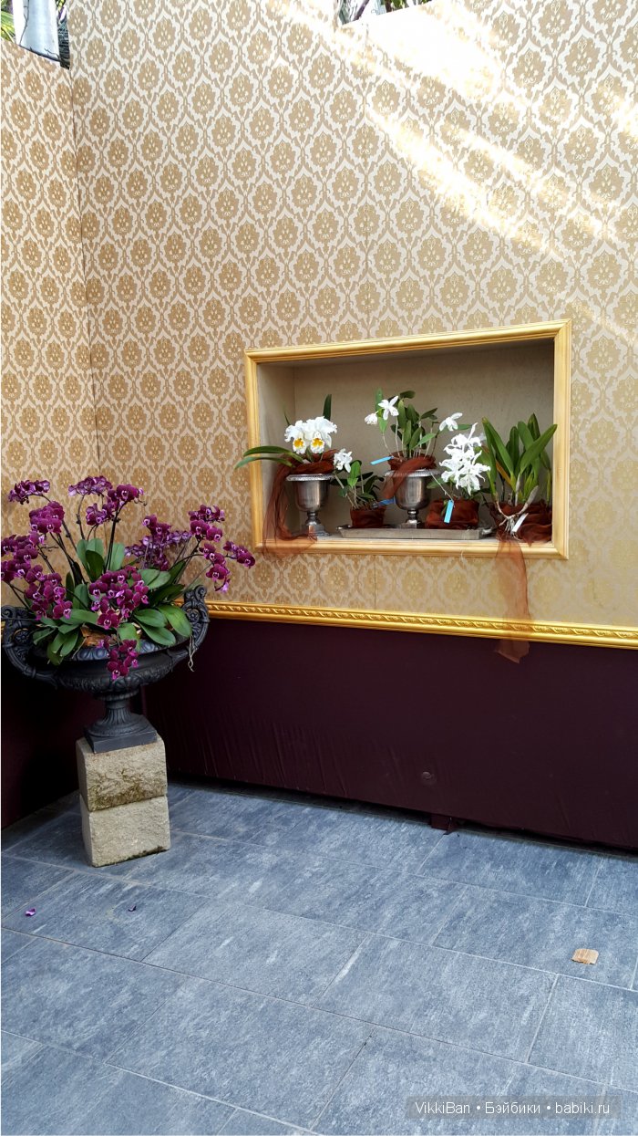 Остров Майнау. Германия — Туризм и путешествия: фотоотчеты из поездок