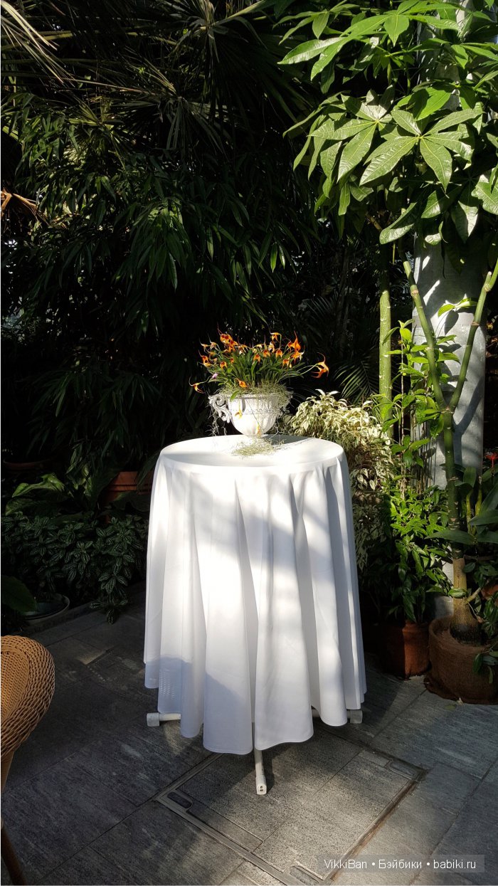 Остров Майнау. Германия — Туризм и путешествия: фотоотчеты из поездок