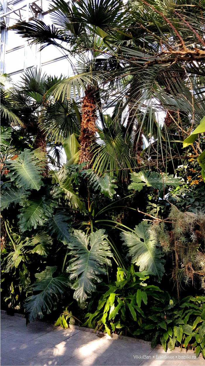 Остров Майнау. Германия — Туризм и путешествия: фотоотчеты из поездок