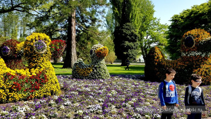 Остров Майнау. Германия — Туризм и путешествия: фотоотчеты из поездок