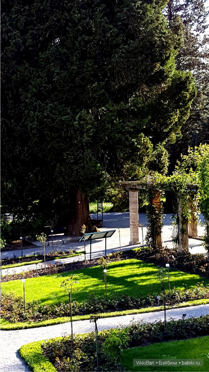 Остров Майнау. Германия — Туризм и путешествия: фотоотчеты из поездок