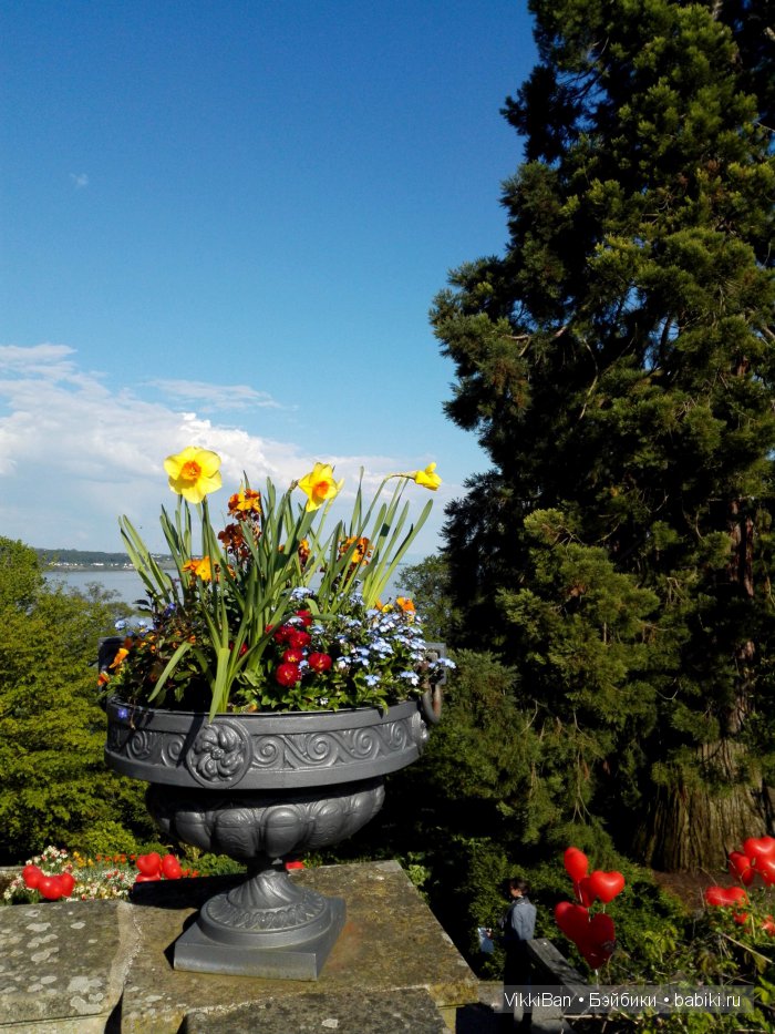 Остров Майнау. Германия — Туризм и путешествия: фотоотчеты из поездок