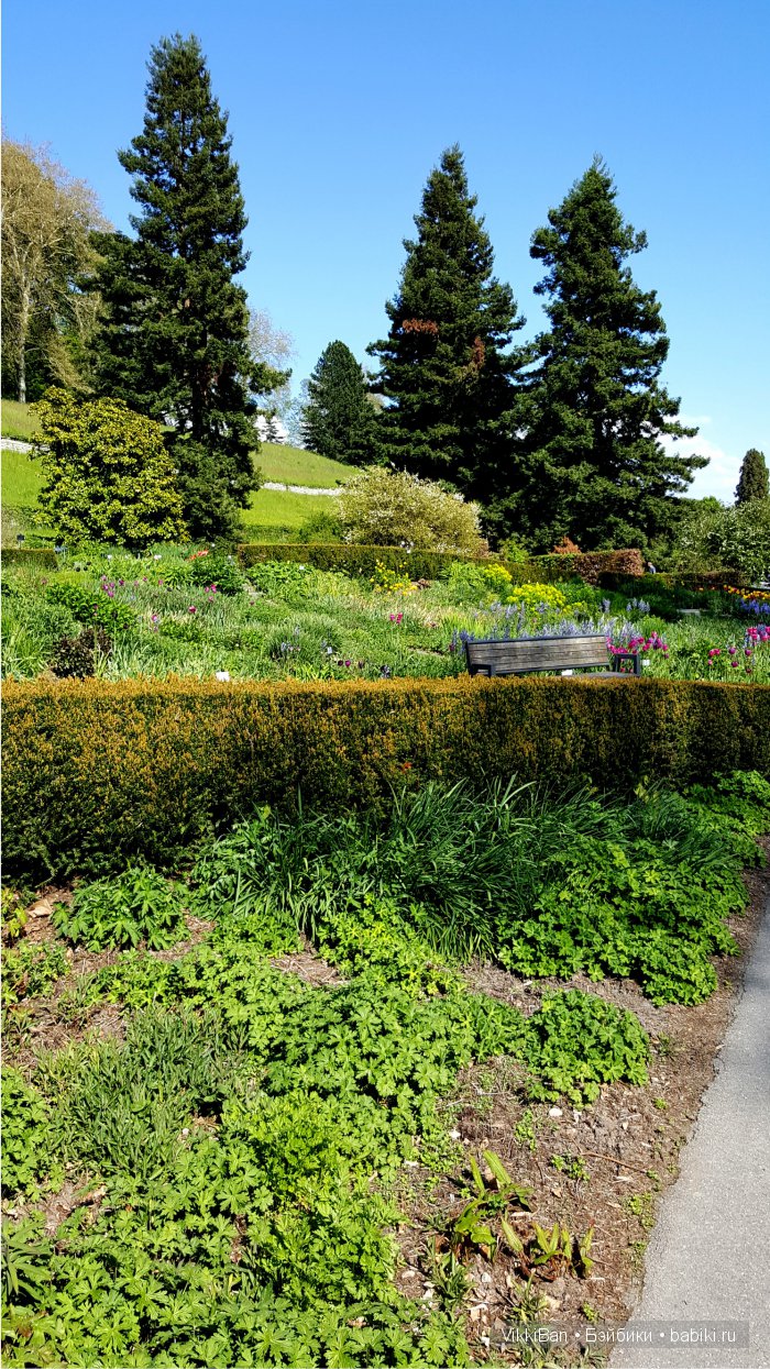 Остров Майнау. Германия — Туризм и путешествия: фотоотчеты из поездок