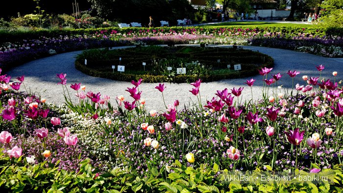 Остров Майнау. Германия — Туризм и путешествия: фотоотчеты из поездок