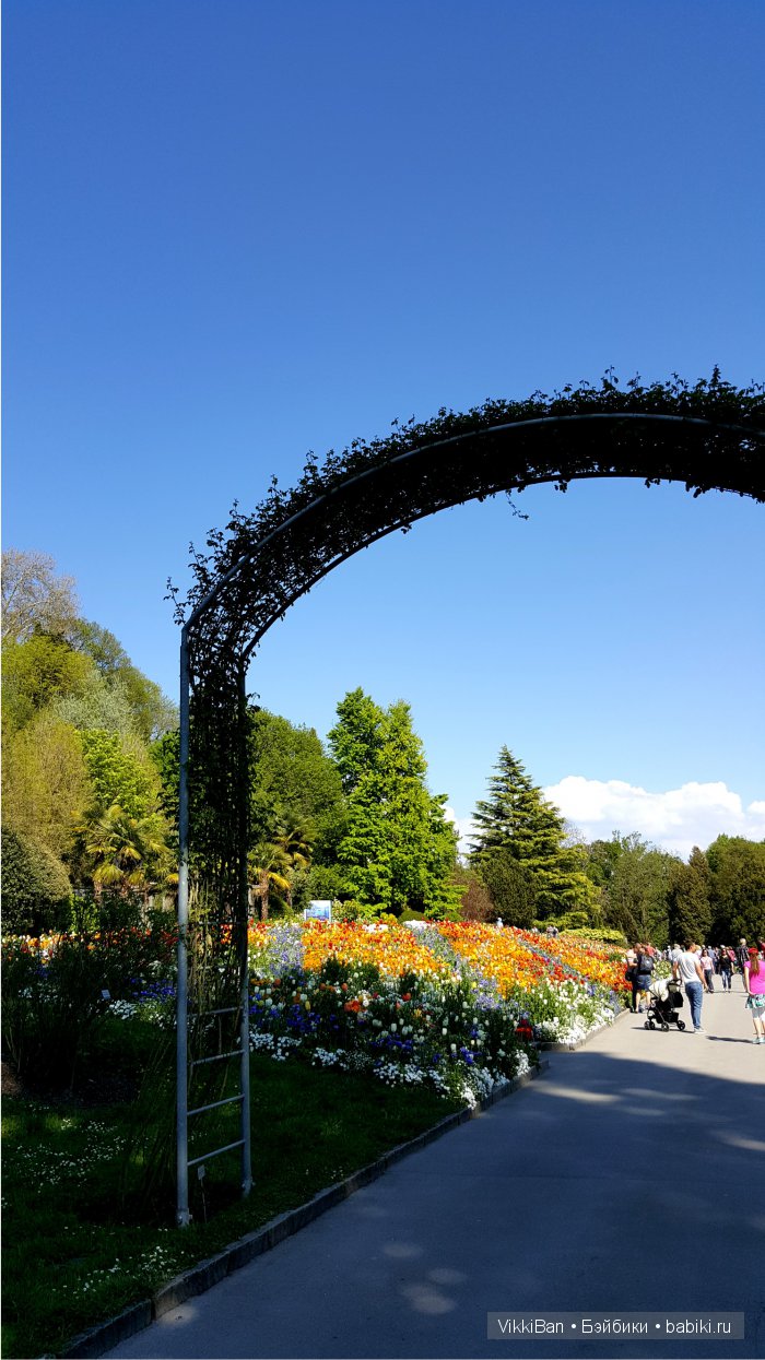 Остров Майнау. Германия — Туризм и путешествия: фотоотчеты из поездок