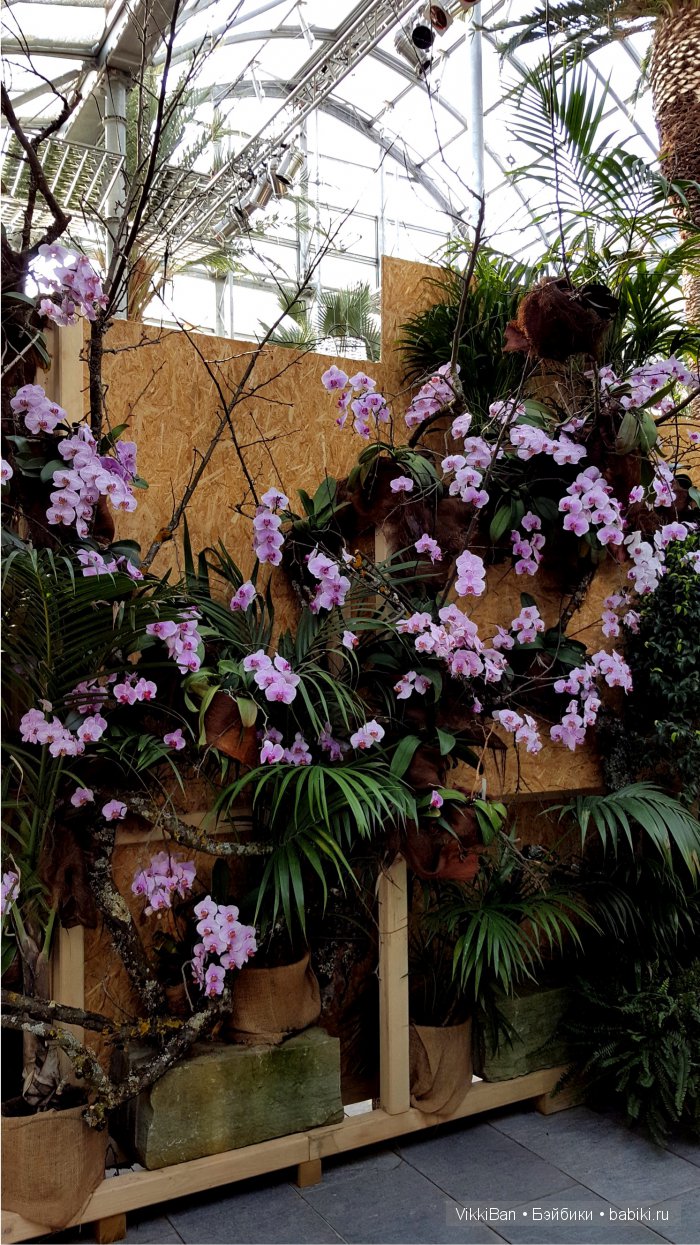 Остров Майнау. Германия — Туризм и путешествия: фотоотчеты из поездок