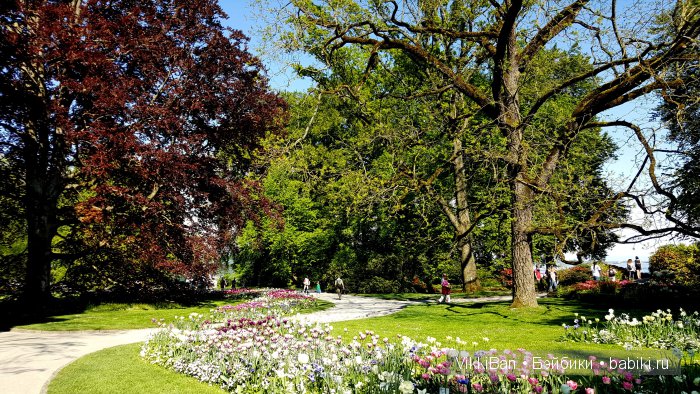 Остров Майнау. Германия — Туризм и путешествия: фотоотчеты из поездок