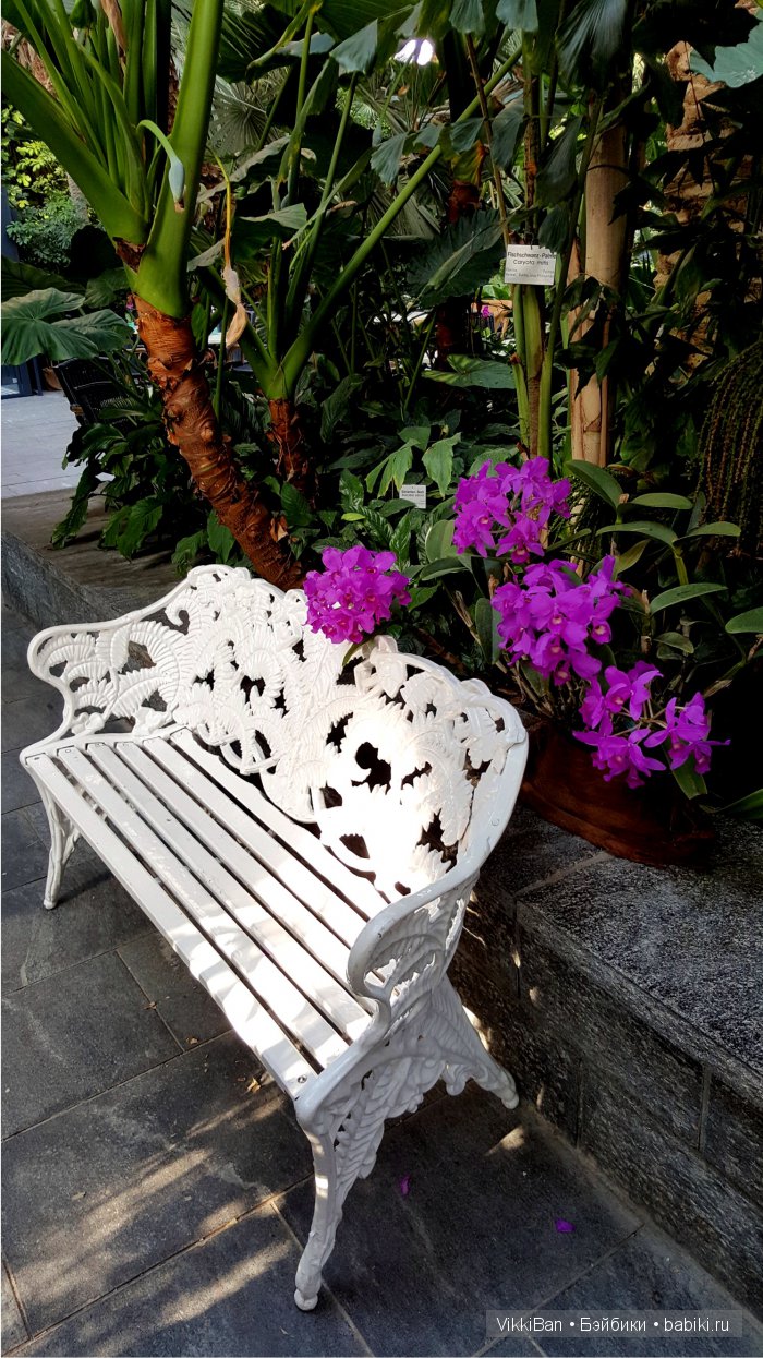 Остров Майнау. Германия — Туризм и путешествия: фотоотчеты из поездок