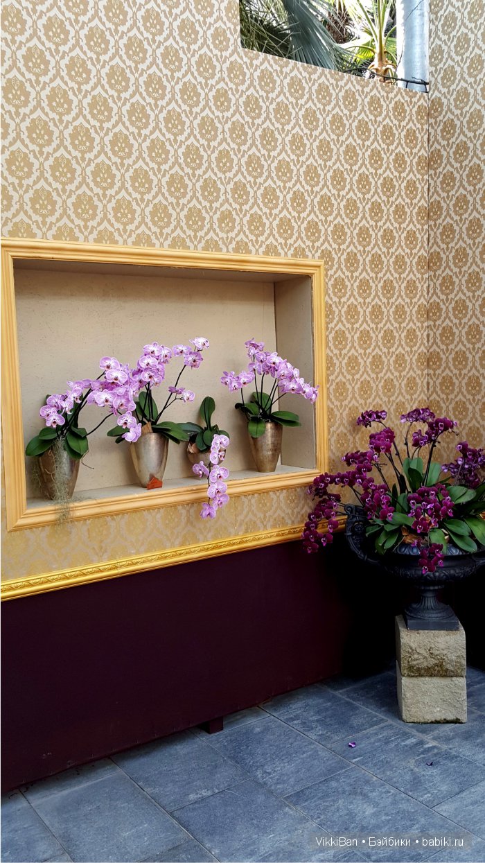 Остров Майнау. Германия — Туризм и путешествия: фотоотчеты из поездок