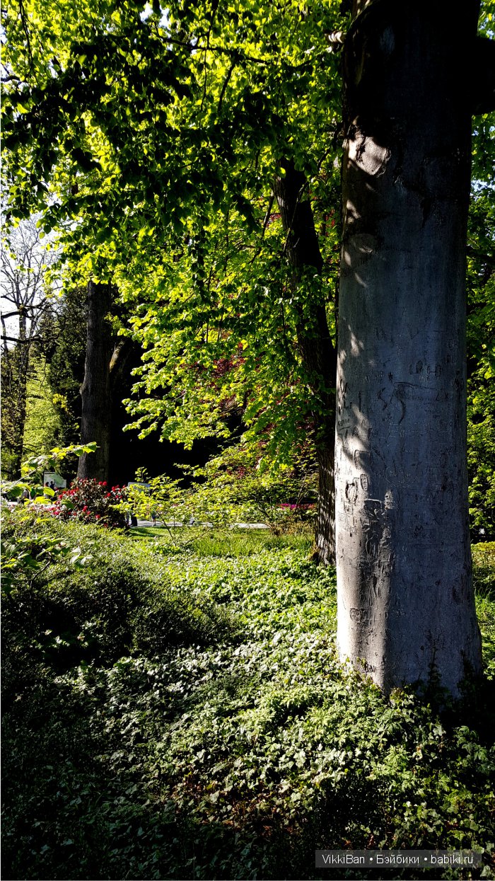 Остров Майнау. Германия — Туризм и путешествия: фотоотчеты из поездок