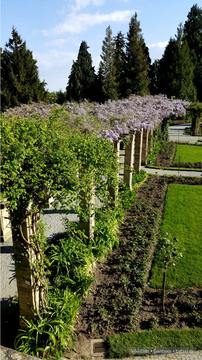 Остров Майнау. Германия — Туризм и путешествия: фотоотчеты из поездок