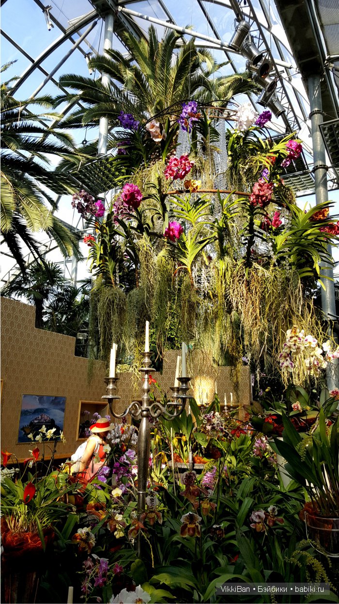 Остров Майнау. Германия — Туризм и путешествия: фотоотчеты из поездок