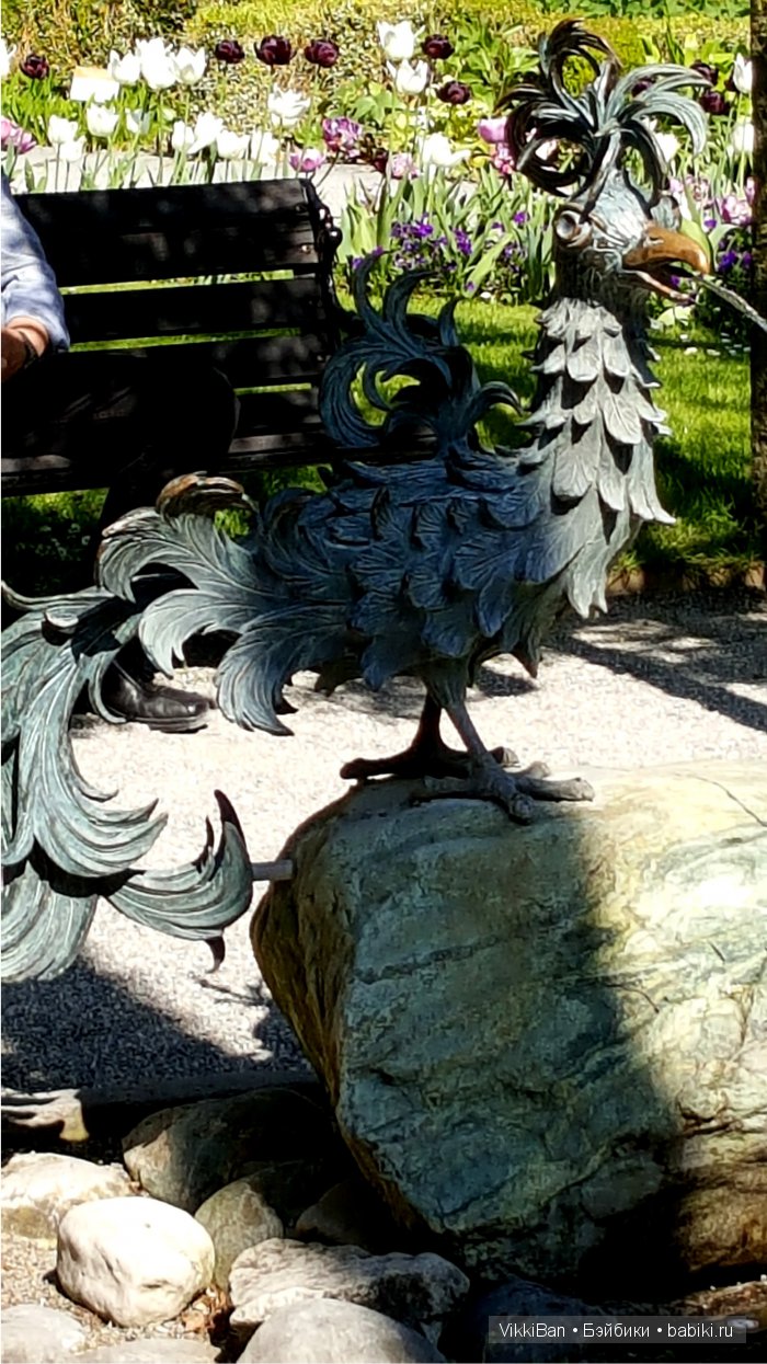 Остров Майнау. Германия — Туризм и путешествия: фотоотчеты из поездок