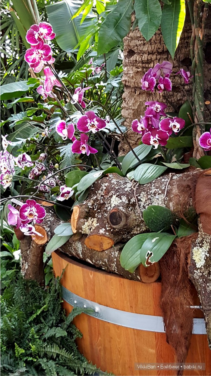 Остров Майнау. Германия — Туризм и путешествия: фотоотчеты из поездок