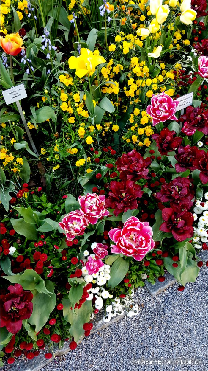 Остров Майнау. Германия — Туризм и путешествия: фотоотчеты из поездок