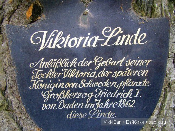 Остров Майнау. Германия — Туризм и путешествия: фотоотчеты из поездок