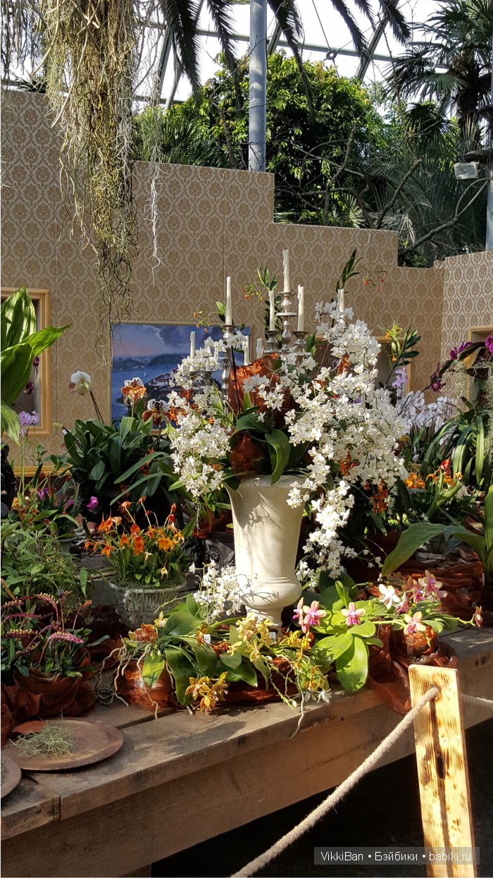 Остров Майнау. Германия — Туризм и путешествия: фотоотчеты из поездок