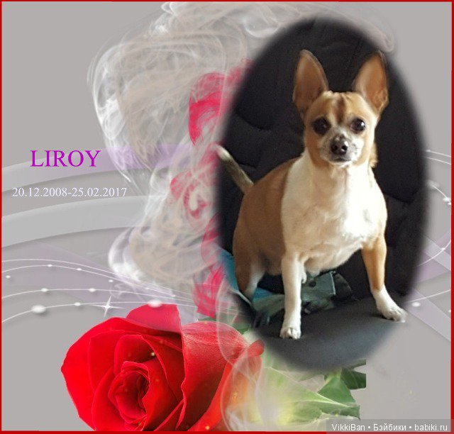 Сказка длинной в девять лет (фото 4)