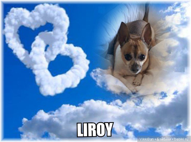 Сказка длинной в девять лет (фото 8)