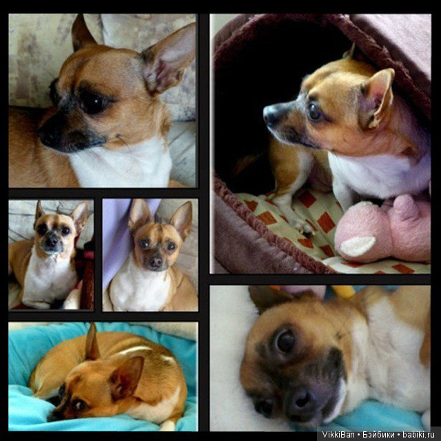 Сказка длинной в девять лет (фото 6)