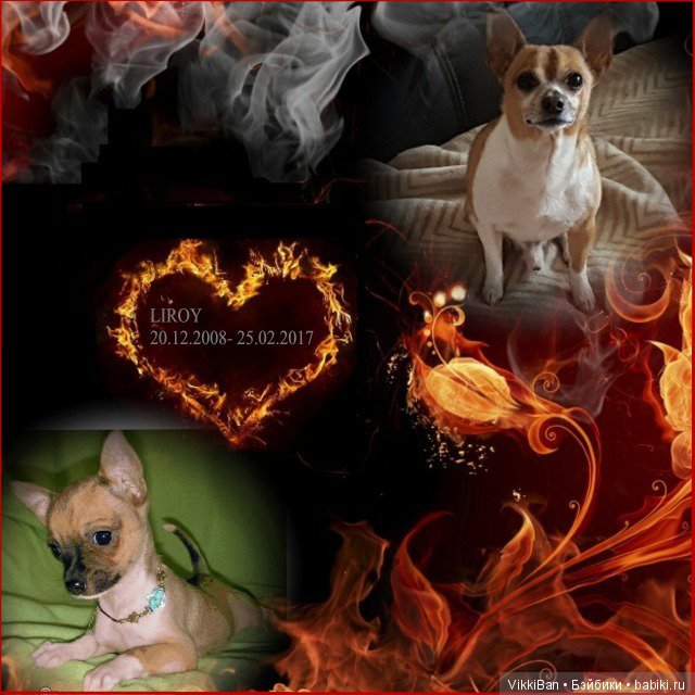 Сказка длинной в девять лет (фото 2)