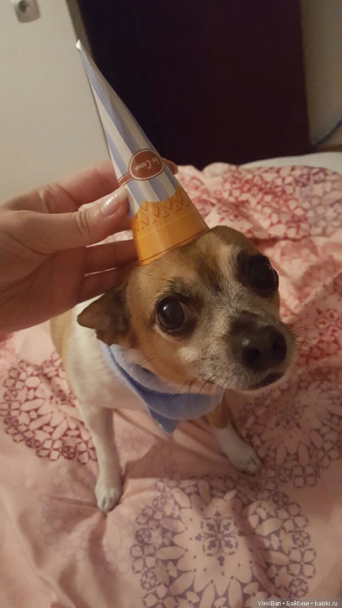 Сказка длинной в девять лет (фото 9)