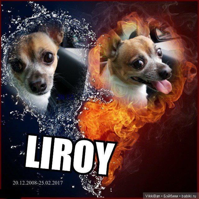 Сказка длинной в девять лет (фото 3)