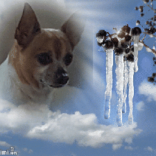 Сказка длинной в девять лет