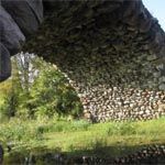 Лерочка и небольшое путешествие по Тверской области