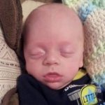 Прототип Кларк скульптора Саманта Грегори. Кукла реборн Светланы Преображенской