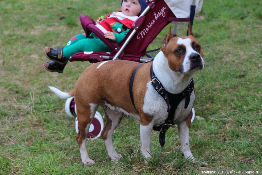 Послушный мальчик дубль два, Liam by Bonnie Brown