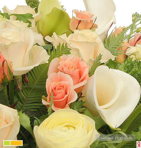 С Днем Рожденья, Лена — Болталка и разговоры обо всем: жизнь