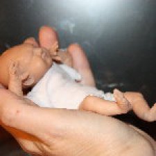 Страдания по авторской кукле Миракл