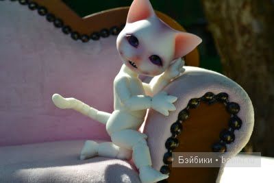 BJD кошечка