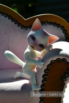 BJD кошечка
