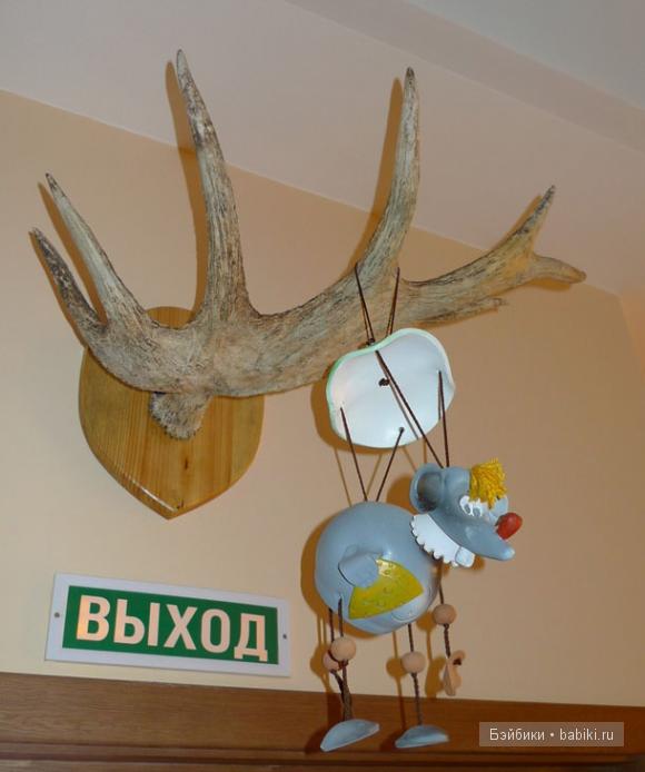 мышкины палаты